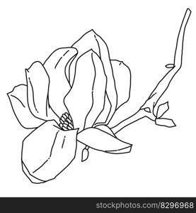 Magnolia flower blooming line art. Hand drawn realistic detailed vector illustration. Black and white clipart isolated. . Magnolia flower blooming line art. Hand drawn realistic detailed vector illustration. Black and white clipart. 