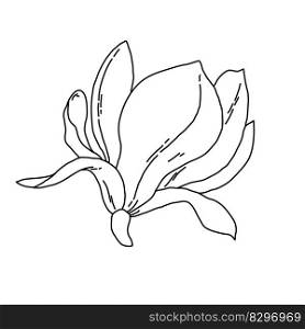 Magnolia flower blooming line art. Hand drawn realistic detailed vector illustration. Black and white clipart isolated. . Magnolia flower blooming line art. Hand drawn realistic detailed vector illustration. Black and white clipart. 
