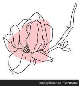 Magnolia flower blooming art. Hand drawn realistic detailed vector ...