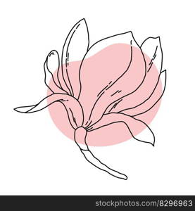 Magnolia flower blooming line art. Hand drawn realistic detailed vector illustration. Banner clipart isolated. . Magnolia flower blooming line art. Hand drawn realistic detailed vector illustration. Banner clipart. 