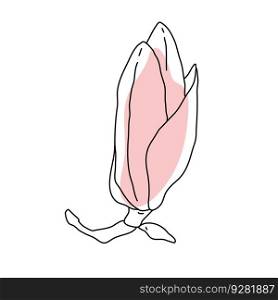 Magnolia flower bud art. Hand drawn realistic detailed vector illustration. Black outline and pink shape clipart isolated . Magnolia flower bud art. Hand drawn realistic detailed vector illustration. Black outline and pink shape clipart 