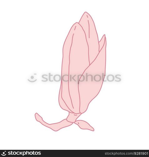 Magnolia flower bud art. Hand drawn realistic detailed vector illustration. Pink line filled clipart isolated.. Magnolia flower bud art. Hand drawn realistic detailed vector illustration. Pink line filled clipart.
