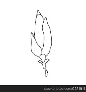 Magnolia flower bud outline. Hand drawn realistic detailed vector illustration. Black and white clipart isolated.. Magnolia flower bud outline. Hand drawn realistic detailed vector illustration. Black and white clipart.