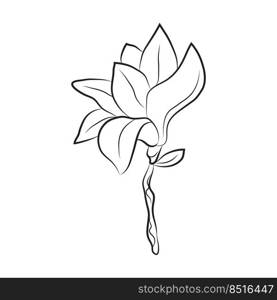 Magnolia flower drawn by lines. Isolated bud on a branch. For invitations and cards