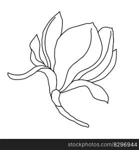 Magnolia flower monoline art. Design element.. Magnolia flower monoline art.