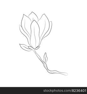 Magnolia flower on a branch, drawn with lines. Spring isolated bud on a branch. For invitations and postcards