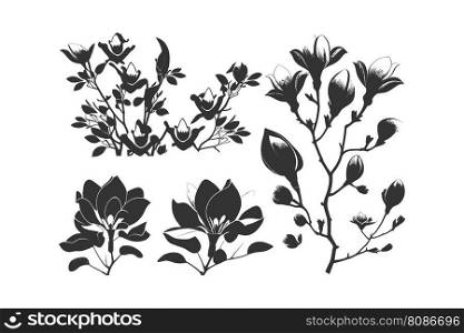 Magnolia flowers black color. Vector illustration desing.
