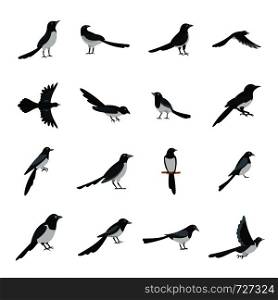 Magpie crow bird icons set. Flat illustration of 16 magpie crow bird vector icons for web. Magpie crow bird icons set flat style
