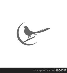 Magpie logo icon illustration design vector
