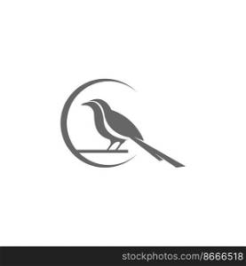 Magpie logo icon illustration design vector