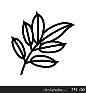 mahogany leaf line icon vector. mahogany leaf sign. isolated contour symbol black illustration. mahogany leaf line icon vector illustration