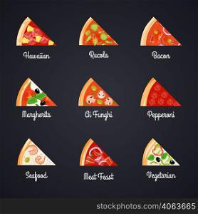 Make create pizza decorative icons set with isolated slices of different pizza selection and appropriate captions vector illustration . Pizza Slices Icon Set