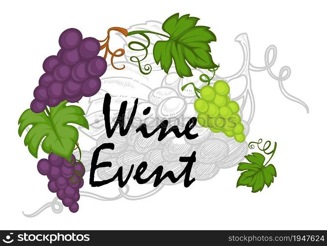 Making and tasting wine, special event or occasion in rural area or countryside. Harvesting or holiday, poster with grapes and calligraphic text. Monochrome sketch outline, vector in flat style. Wine event, fermenting or tasting of beverages