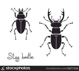 Male and female stag beetle, Lucanus cervus, Stag-beetle.