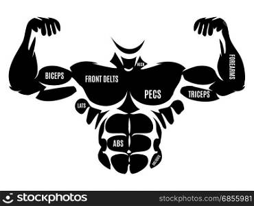 Male athletic black body silhouette. Male athletic body silhouette. Vector black male torso anatomic map
