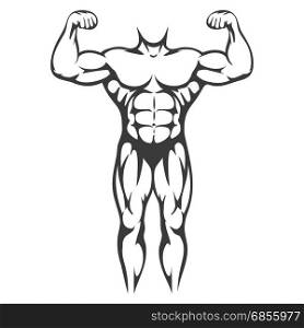 Male body muscle black silhouette. Male body muscle black silhouette isolated on white background. Vector illustration