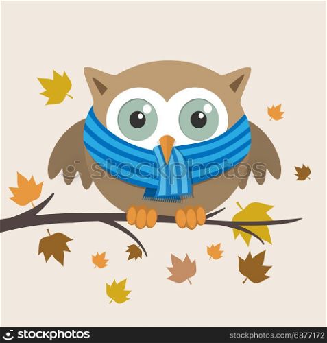 Male owl with scarf on a fall day