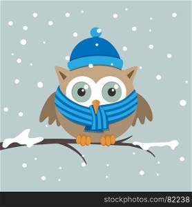 Male owl with scarf on a winter day
