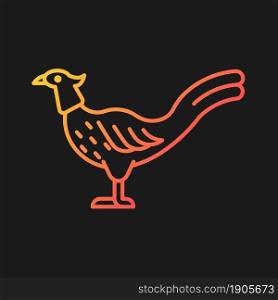 Male pheasant gradient vector icon for dark theme. Commercial poultry farming. Domestic bird raising. Feathered tail. Thin line color symbol. Modern style pictogram. Vector isolated outline drawing. Male pheasant gradient vector icon for dark theme