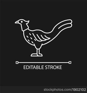 Male pheasant linear icon for dark theme. Ringneck cock. Domestic bird raising. Long feathered tail. Thin line customizable illustration. Isolated vector contour symbol for night mode. Editable stroke. Male pheasant linear icon for dark theme