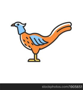 Male pheasant RGB color icon. Commercial poultry farming for food. Ringneck cock. Domestic bird raising. Long feathered tail. Isolated vector illustration. Simple filled line drawing. Male pheasant RGB color icon