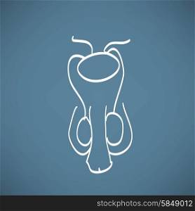 Male reproductive system sketch