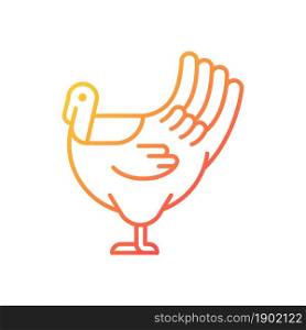 Male turkey gradient linear vector icon. Commercial poultry farming for food. Thanksgiving dinner with turkey. Thin line color symbol. Modern style pictogram. Vector isolated outline drawing. Male turkey gradient linear vector icon