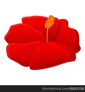 Mallow hibiscus icon. Cartoon of mallow hibiscus vector icon for web design isolated on white background. Mallow hibiscus icon, cartoon style