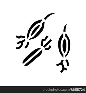 malt barley glyph icon vector. malt barley sign. isolated symbol illustration. malt barley glyph icon vector illustration