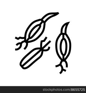 malt barley line icon vector. malt barley sign. isolated contour symbol black illustration. malt barley line icon vector illustration