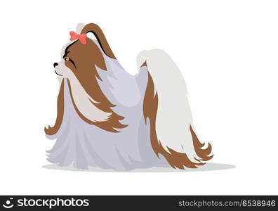 Maltese or yorkshire terrier breed dog with long hair and bow tie on head. Flat design vector. Domestic friend and companion animal illustration. For pet shop ad, hobby concept, breeding illustration. Maltese Breed Vector Flat Design Illustration. Maltese Breed Vector Flat Design Illustration