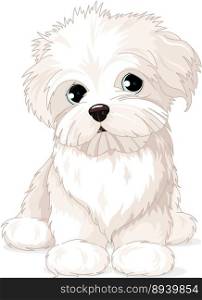 Maltese puppy dog vector image
