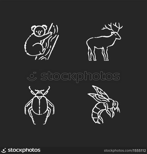 Mammals and insects chalk white icons set on black background. Tropical koala, forest deer, scarab beetle and honeybee. Exotic and ordinary animals. Isolated vector chalkboard illustrations. Mammals and insects chalk white icons set on black background