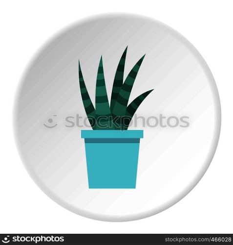 Mammillaria bocasana in bloom icon in flat circle isolated on white vector illustration for web. Mammillaria bocasana in bloom icon circle