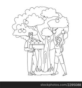 Man And Woman Harvesting Apples In Orchard Black Line Pencil Drawing Vector. Boy And Girl Gardener Harvest Natural Vitamin Fruit In Orchard. Characters Farmers Agricultural Occupation Illustration. Man And Woman Harvesting Apples In Orchard Vector