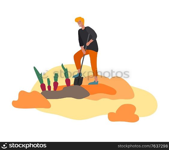 Man gathering crops or seasonal harvest, collecting ripe vegetables. Boy work on a farm. Agricultural worker in autumn. Cartoon vector illustration. Man gathering crops or seasonal harvest, collecting ripe vegetables. Boy work on a farm. Agricultural worker in autumn. Cartoon vector