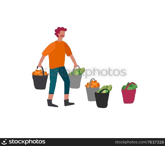 Man gathering crops or seasonal harvest, collecting ripe vegetables. Men on farm. Agricultural workers in autumn. Cartoon vector illustration. Man gathering crops or seasonal harvest, collecting ripe vegetables. Men on farm. Agricultural workers in autumn. Cartoon vector