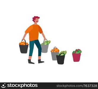Man gathering crops or seasonal harvest, collecting ripe vegetables. Men on farm. Agricultural workers in autumn. Cartoon vector illustration. Man gathering crops or seasonal harvest, collecting ripe vegetables. Men on farm. Agricultural workers in autumn. Cartoon vector