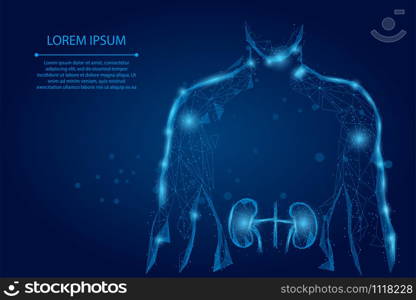 Man silhouette healthy kidneys low poly wireframe. Urology system medicine treatment low poly vector illustration