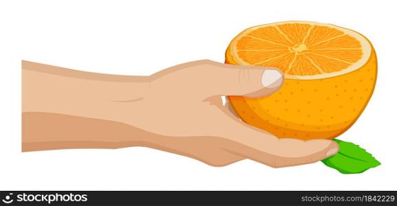 man treats friend with half ripe juicy orange. Summer fruits and vitamins. Sweet treat for children. Cartoon vector on white background