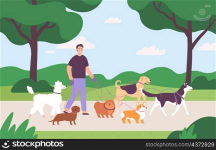 Man volunteer character walking with many dogs on leash at park. Dog sitter job outdoor. Flat dogs walk service or pet care vector concept. Illustration of character people with dogs. Man volunteer character walking with many dogs on leash at park. Dog sitter job outdoor. Flat dogs walk service or pet care vector concept