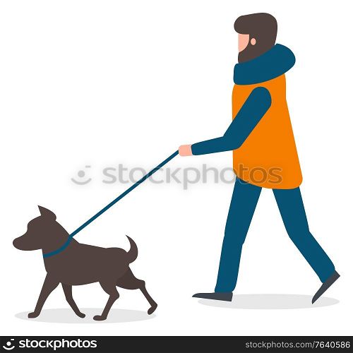 Man walking dog on leash vector, isolated character in flat style. Male wearing winter clothes thick jacket and scarf. Bearded personage takes care of canine animal at weekends. Strolling with doggy. Man Character Walking Dog on Leash, Winter Vector
