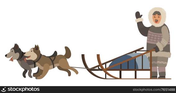 Man wearing thick and warm clothes riding sleigh with husky dogs. Sled dog running and transporting owner. Isolated eskimo friendly waving his hand. Male with animals outdoors, vector in flat style. Inuit with Husky Dogs and Sledges, Northern Man