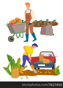 Man with carriage transporting pumpkins vector, male on plantation using shovel. Tractor lorry with potato, agricultural worker on field flat style. Farmer work on farm. Farming Person on Plantation Transporting Veggies