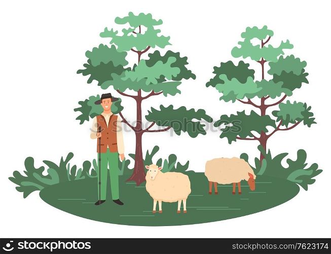 Man with sheep vector, person farming in forest caring for animals. Herd with shepherd looking after lambs. Trees and greenery of natural environment. Flat cartoon. Sheep Farming Man, Shepherd with Herd on Nature