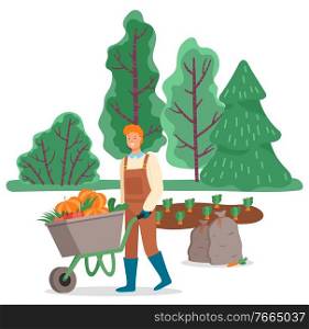 Man with wheelbarrow transporting harvested pumpkins from field or plantation. Seasonal work for farmers. Working male wearing apron pushing trolley. Person on farm, vector in flat style illustration. Male with Wheelbarrow Transporting Vegetables
