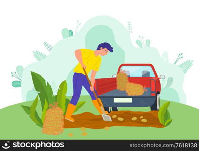 Man working on potato field vector, tractor machine for transportation of gathered production. Countryside nature, male using shovel farmer on farm. Farming Man on Potato Field Picking Veggies Vector