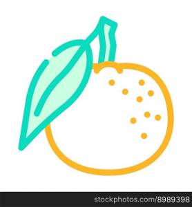 mandarin orange color icon vector. mandarin orange sign. isolated symbol illustration. mandarin orange color icon vector illustration