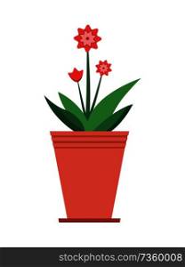 Mandevilla plant in brown pot, blooming room herb with red flowers and green leaves, pots decoration of home isolated on vector illustration. Mandevilla Plant in Brown Pot Vector Illustration