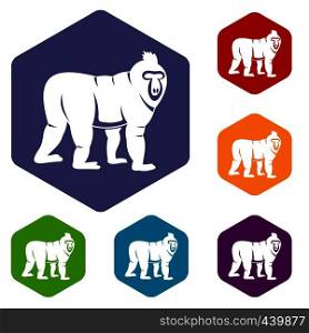 Mandrill monkey icons set hexagon isolated vector illustration. Mandrill monkey icons set hexagon